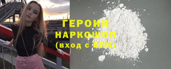 индика Новодвинск
