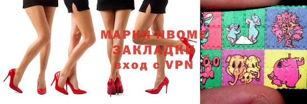 индика Новодвинск