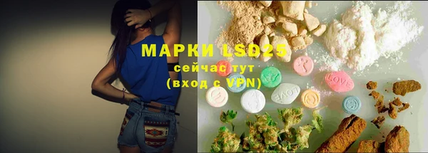 индика Новодвинск