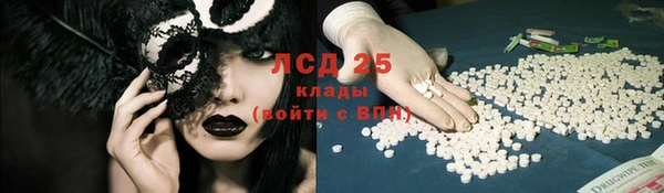 индика Новодвинск