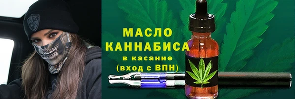 мдпв Новозыбков