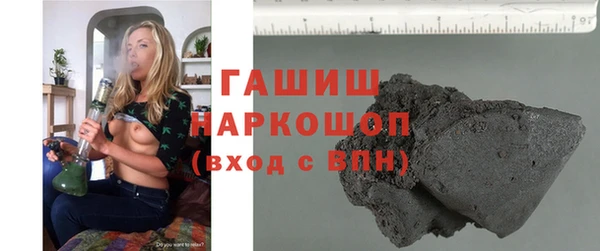 индика Новодвинск