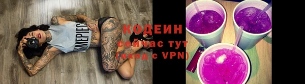 мдпв Новозыбков