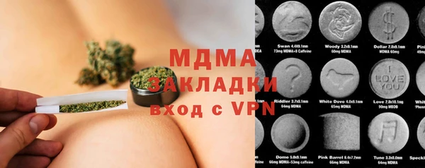 индика Новодвинск