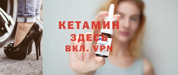 индика Новодвинск