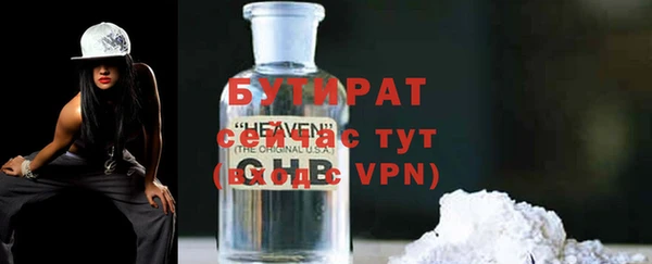 индика Новодвинск