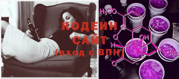индика Новодвинск