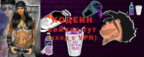 индика Новодвинск