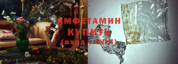 индика Новодвинск