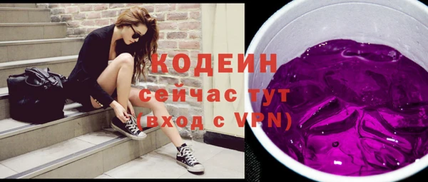 индика Новодвинск
