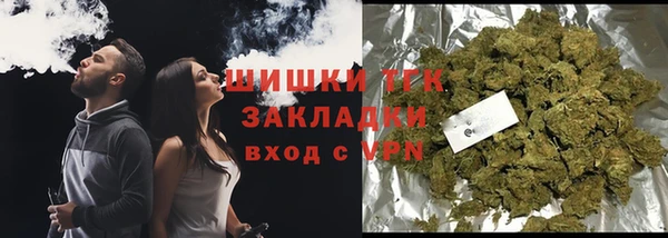 индика Новодвинск