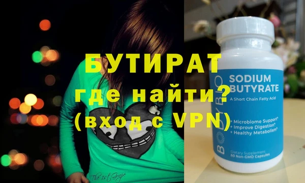 индика Новодвинск